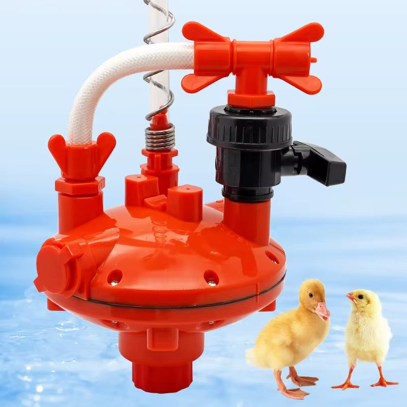 Régulateur de Pression d'Eau pour Volailles – Abreuvoir Automatique Poulets & Canards