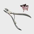 Pince Coupe-dent  Vétérinaire pour Porcs – Acier Inoxydable