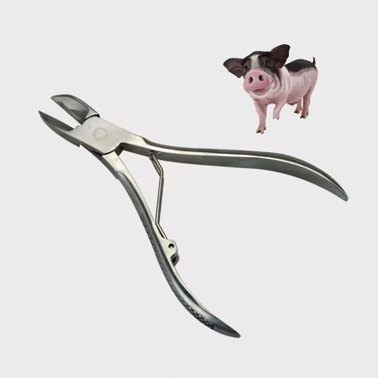Pince Coupe-dent  Vétérinaire pour Porcs – Acier Inoxydable