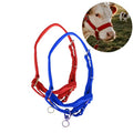 Licol Bovin Réglable – Nylon Rouge