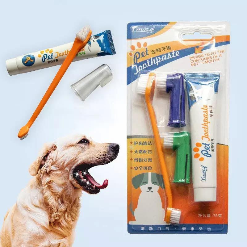 Kit Dentaire pour Chien et Chat - Brosse à Dents + Dentifrice