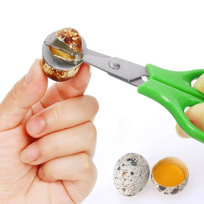 Ciseaux Coupe-Œufs de Caille – Ouvreur Précis Inox