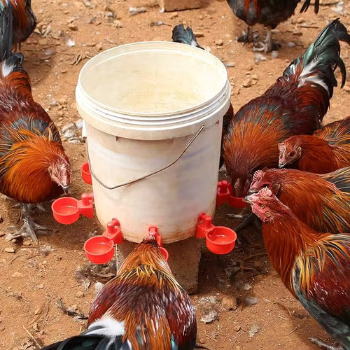 Abreuvoir automatique à clipser pour volailles et petits animaux lot 10