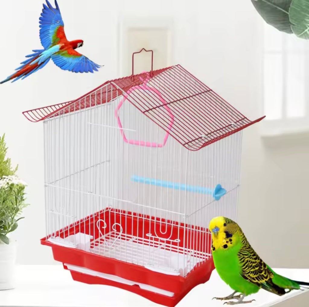 Case de oiseaux