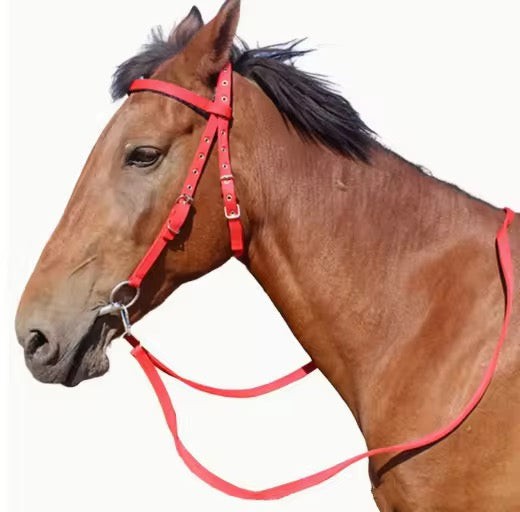 Licol Cheval avec Longe – Rouge