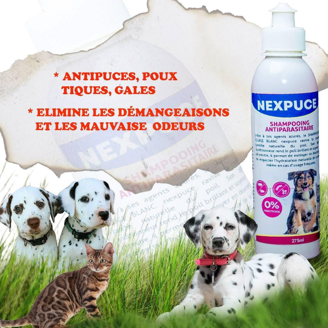 Nexpuce – Shampooing Antiparasitaire 275ml