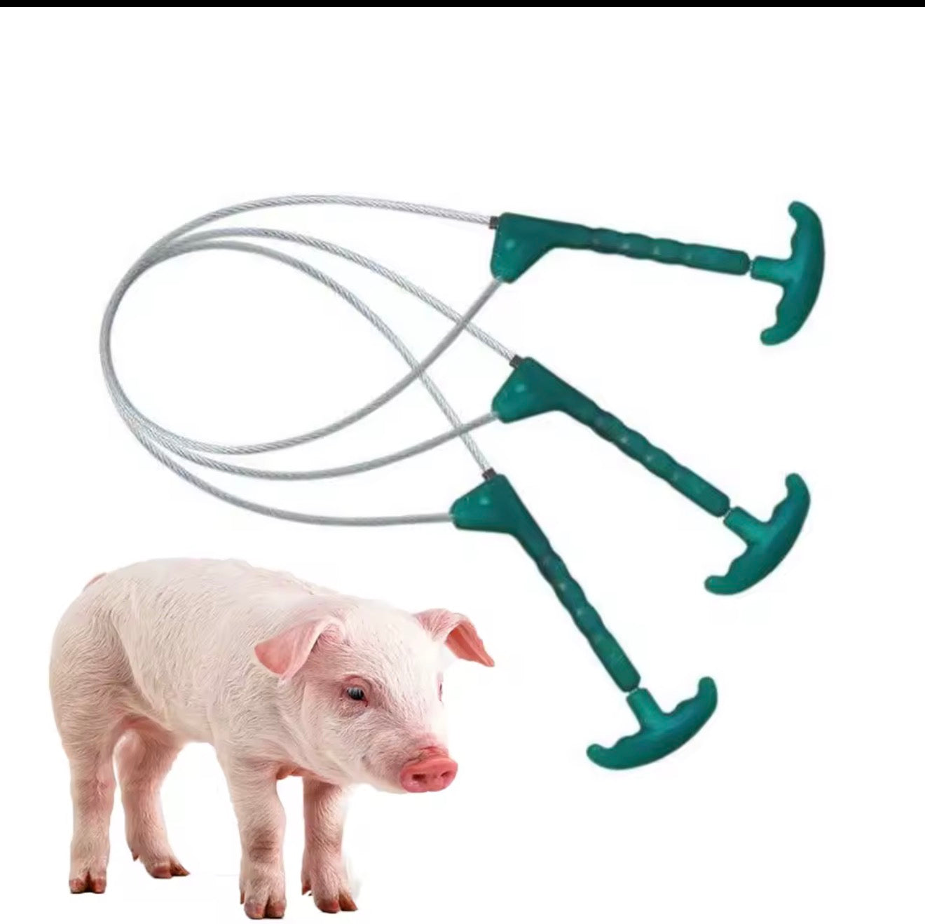 Lasso de contention pour porcs – Câble inox & Poignée ergonomique