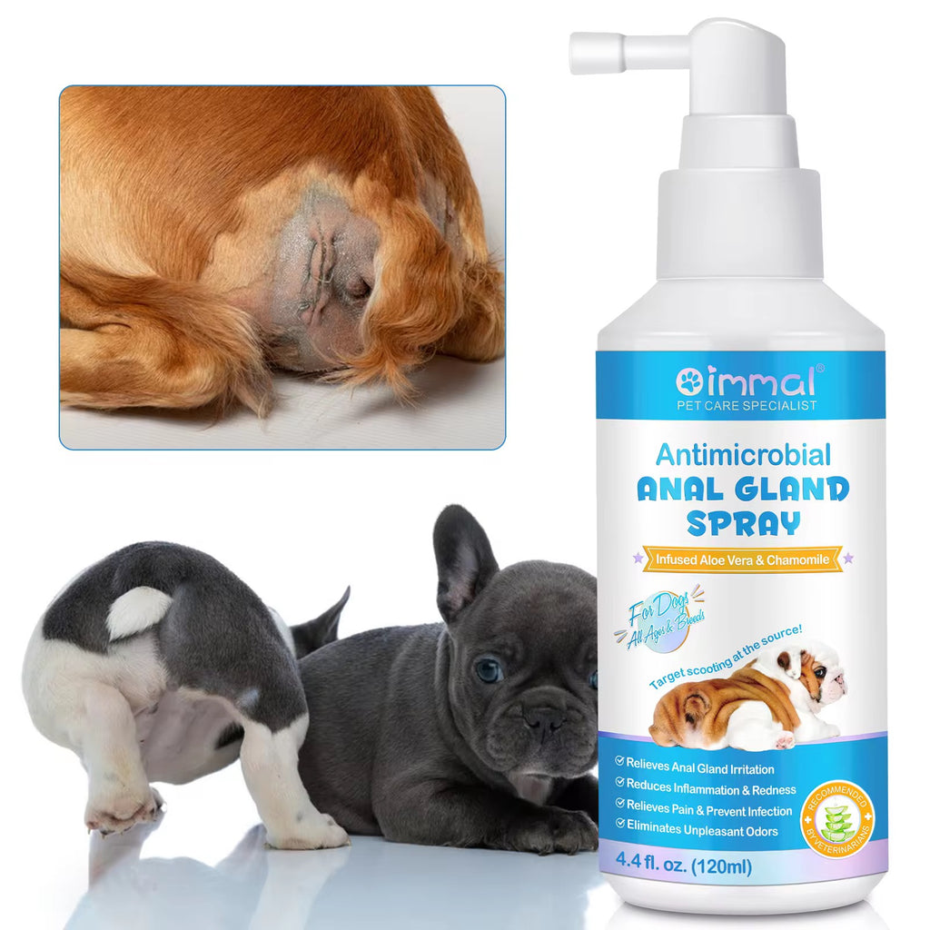 Spray Antimicrobien Glandes Anales Oimmal – Aloé Vera & Camomille (120 ml)