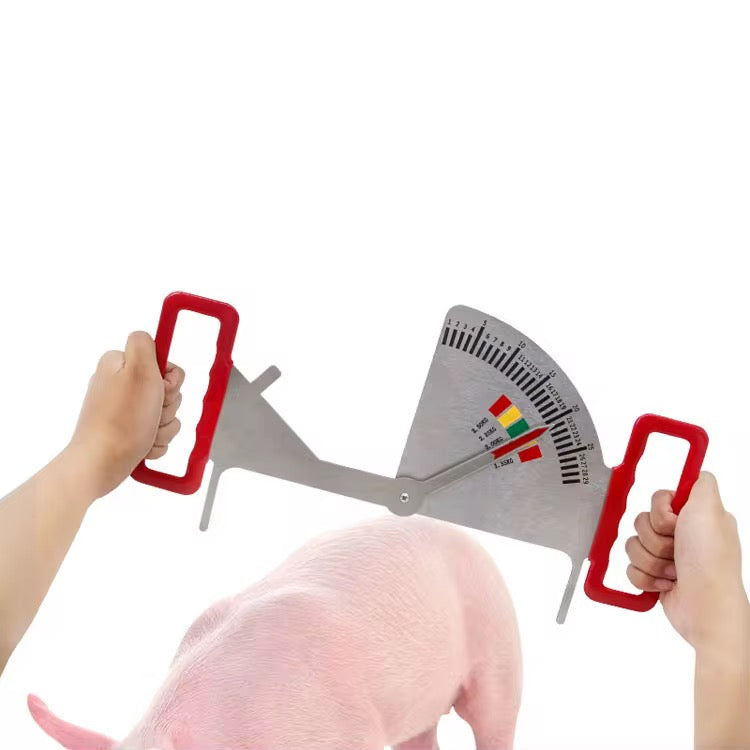 Compas de Mesure de Graisse Dorsale pour Porcs