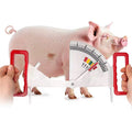 Compas de Mesure de Graisse Dorsale pour Porcs