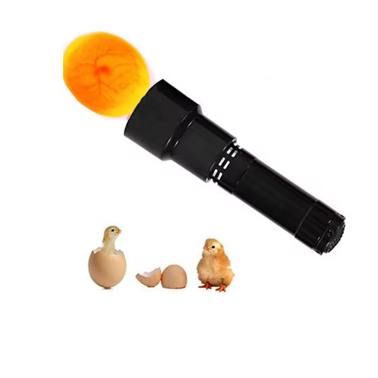 Ovoscope LED Professionnel – Lampe pour  testeur Œufs