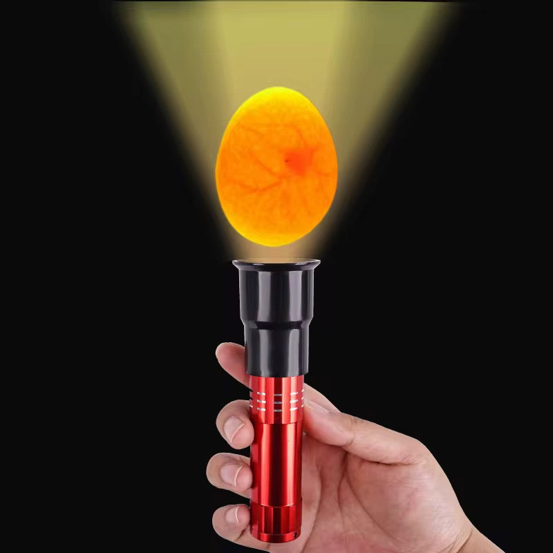 Ovoscope LED Professionnel – Lampe pour  testeur Œufs