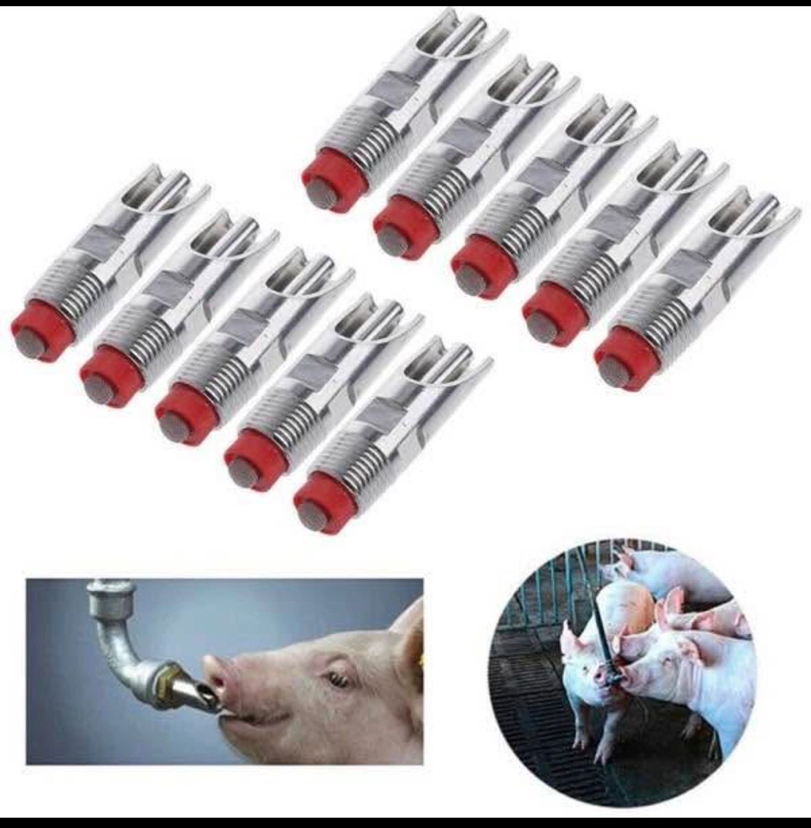 Abreuvoir Automatique à Pipette pour Porcs et Porcins  (lot 10)