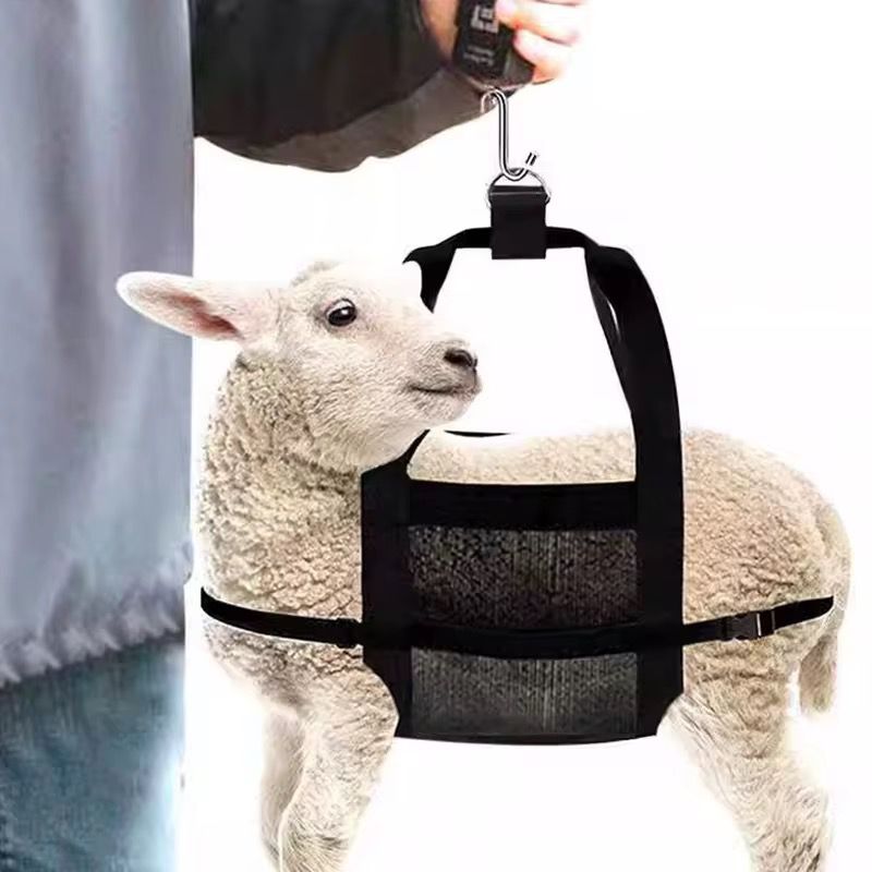 Sac de Pesée / Weighing Bag
