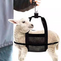 Sac de Pesée / Weighing Bag