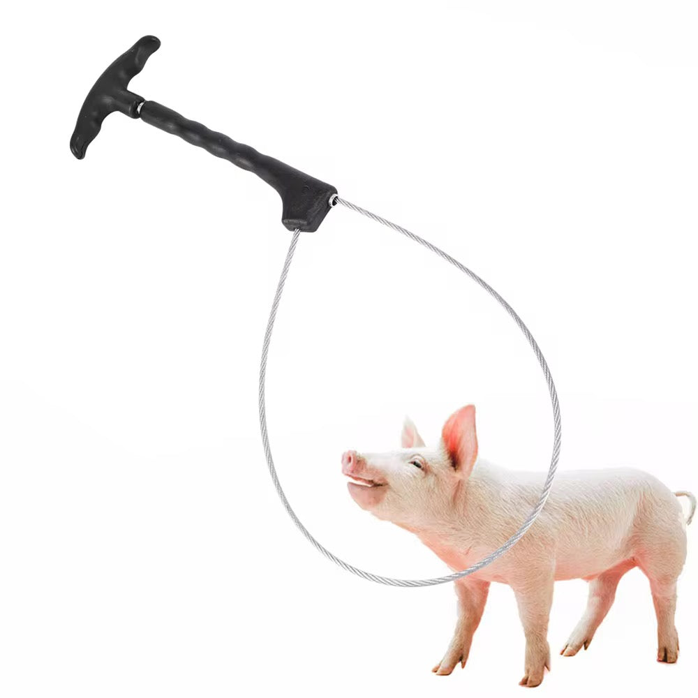 Lasso de contention pour porcs – Câble inox & Poignée ergonomique (Copie)