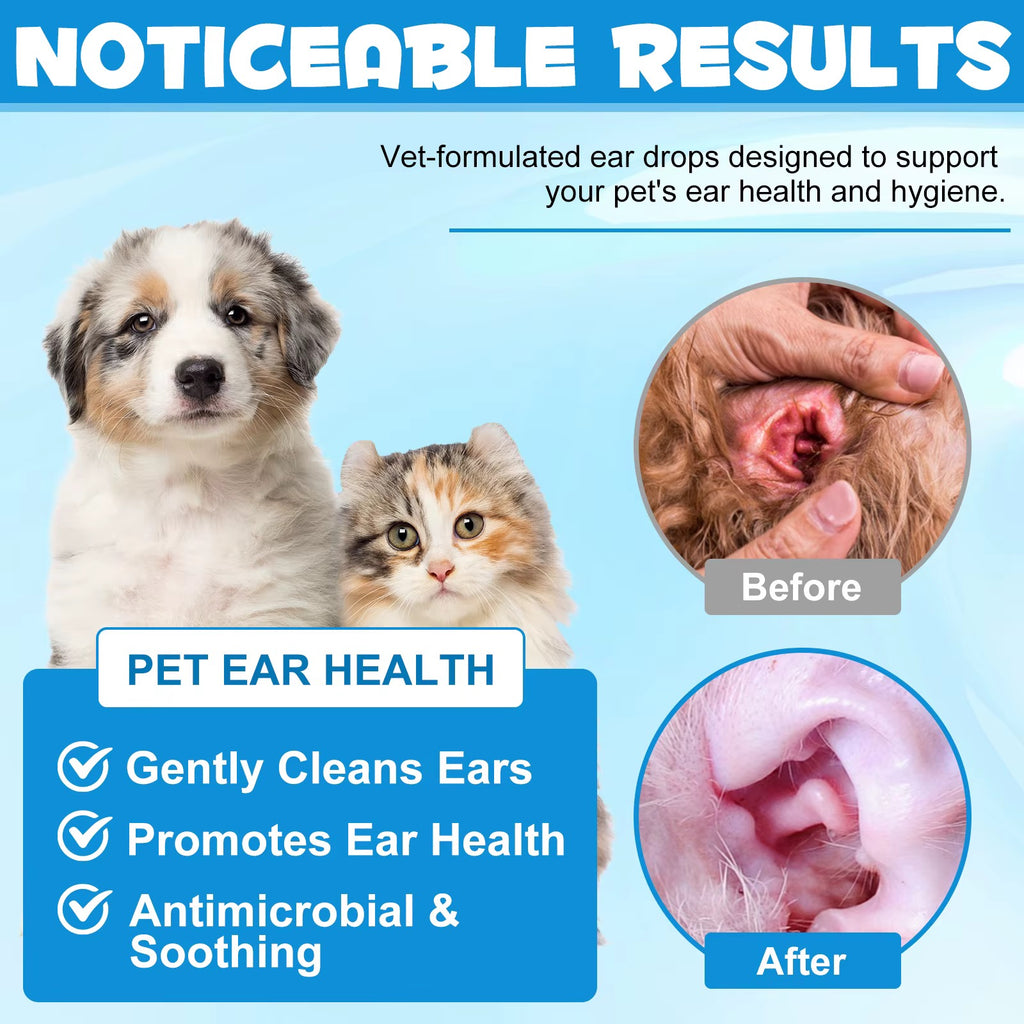 Gouttes Auriculaires Vétérinaires Oimmal – Avec Microsilver | Chiens & Chats | 60 ml