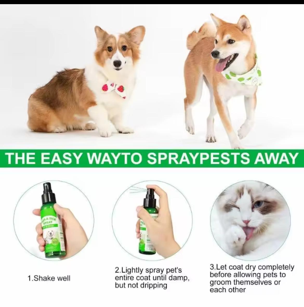 Spray Anti-Puces & Tiques pour Chien et Chat – Formule Naturelle 100ML