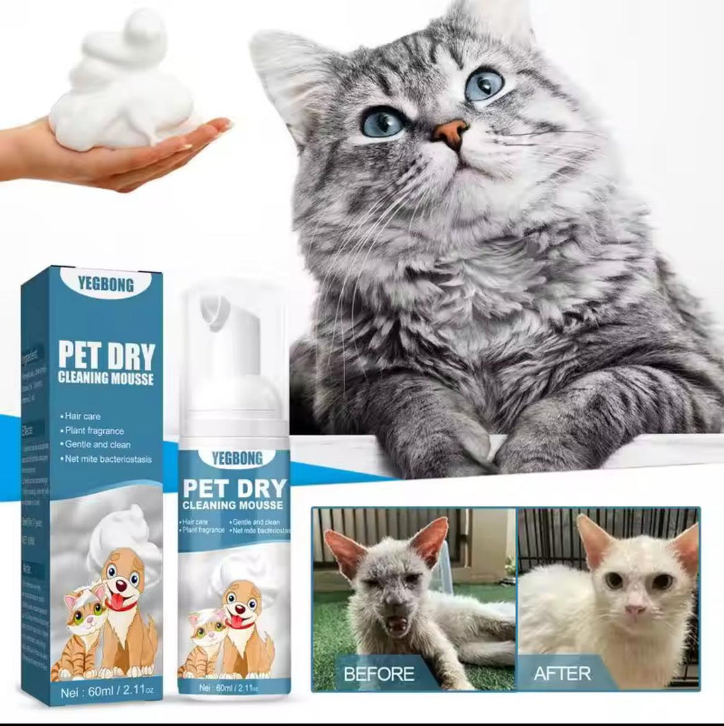 Mousse Nettoyante Sèche pour Chien et Chat