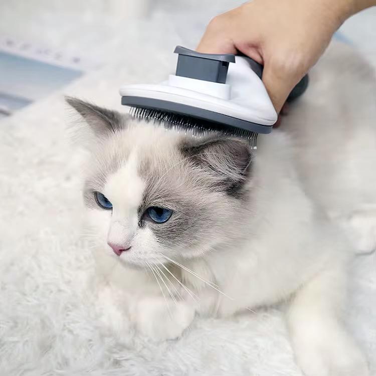 Brosse auto-nettoyante pour chiens et chats