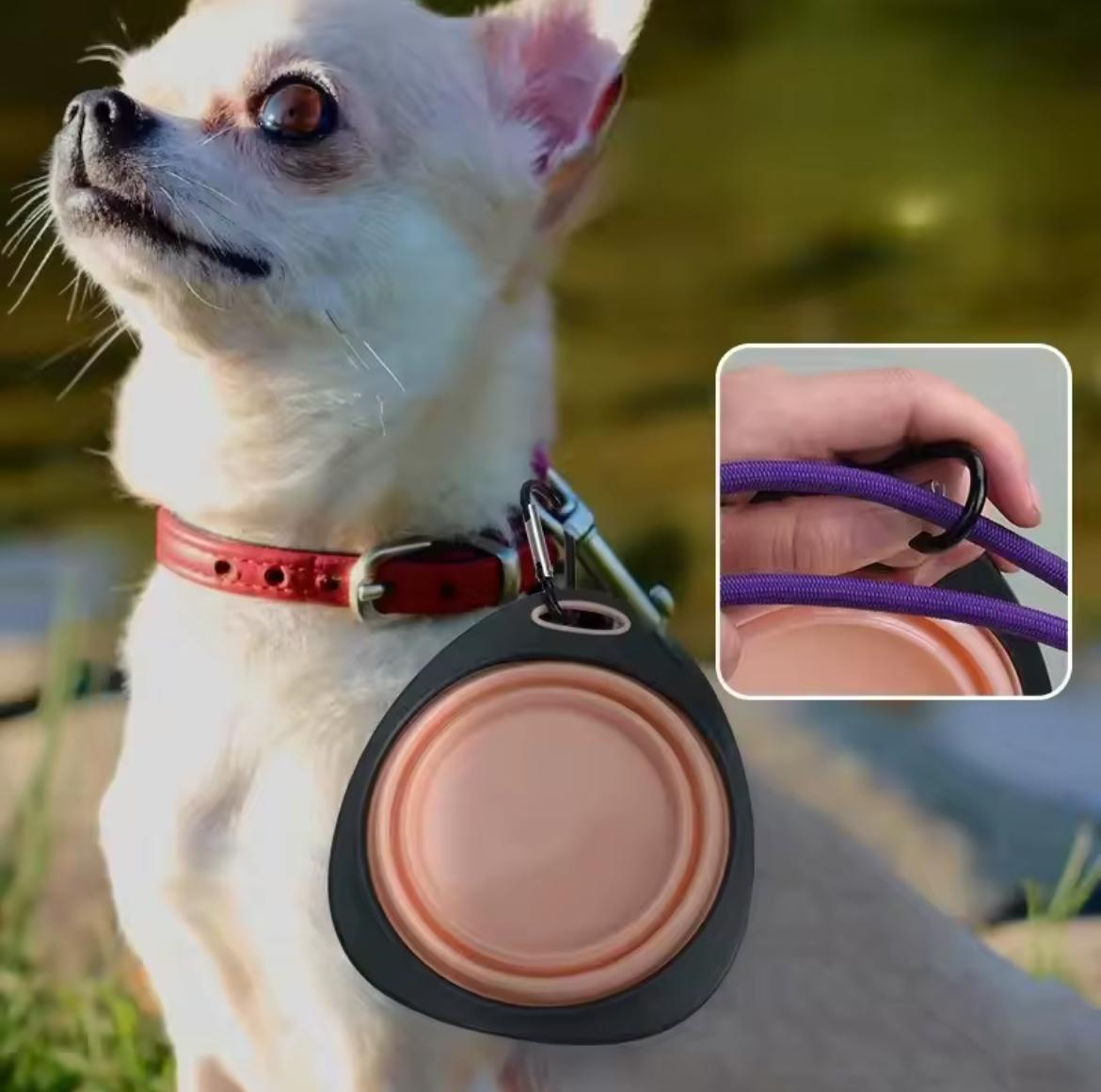 Gamelle Pliable Portable pour Chien et Chat – Silicone avec Mousqueton