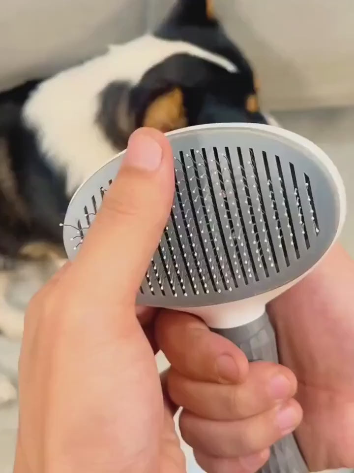 Brosse auto-nettoyante pour chiens et chats