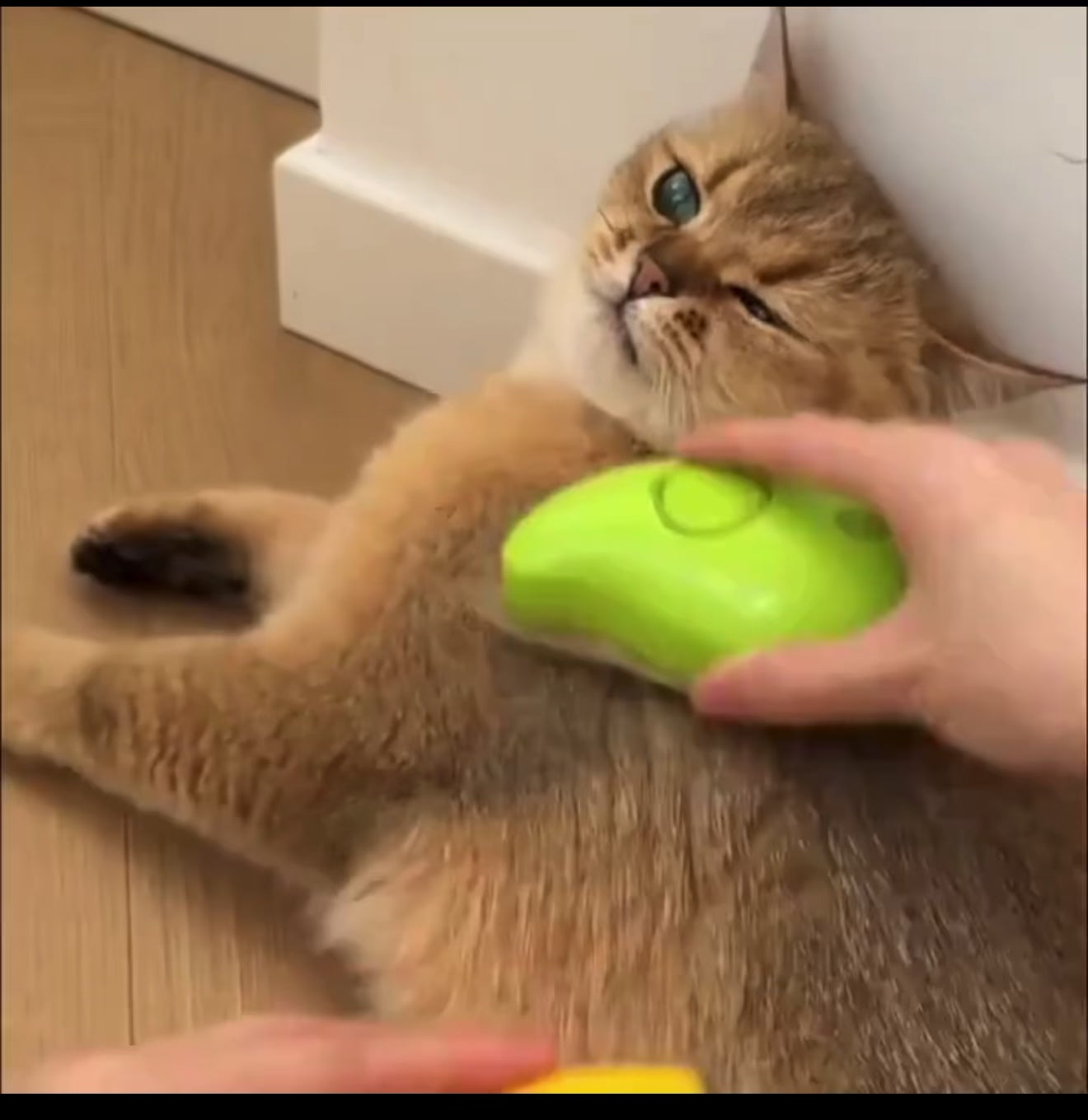 Brosse Peigne Massant Électrique pour Chat et Chien