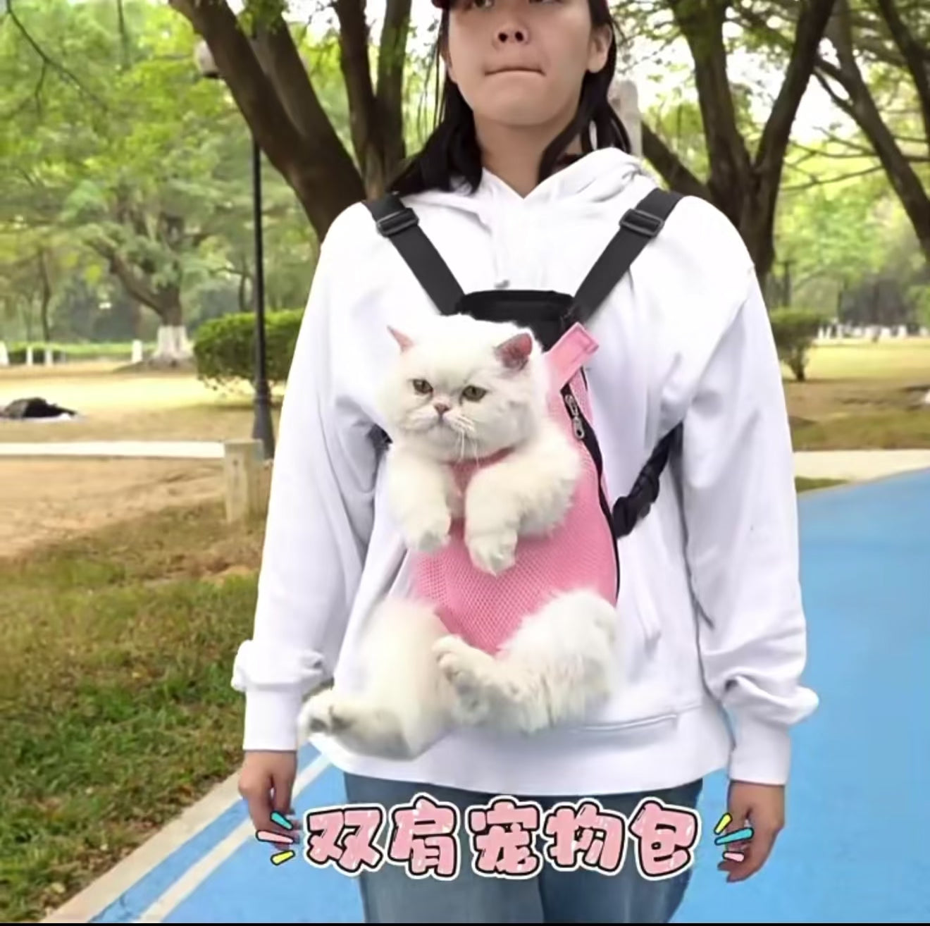 Sac de Transport Frontal pour Chat – Mains Libres